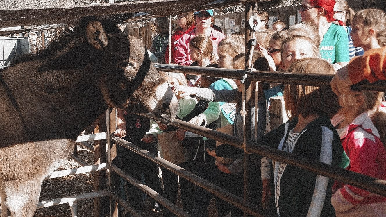 Field Trips at THE FARM